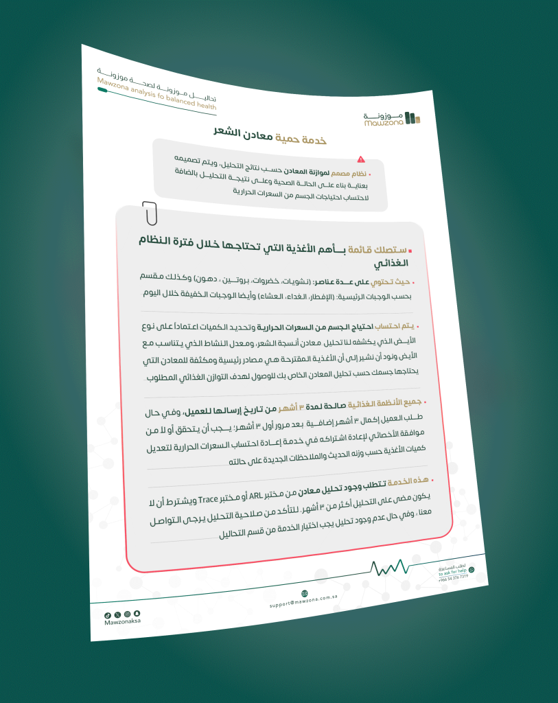 نموذج النظام الغذائي لموازنة المعادن